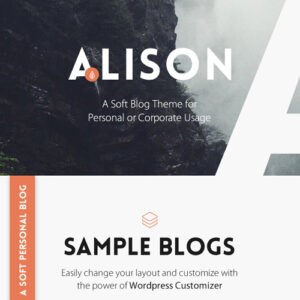 Anne Alison – Soft Personal Blog Theme - DigitalStoreDeals.com