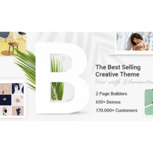 Bridge - Creative Multipurpose WordPress Theme - DigitalStoreDeals.com