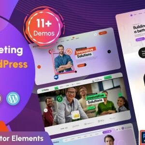 Choicy - Digital Marketing Agency WordPress Theme - DigitalStoreDeals.com