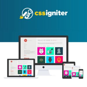 CSS Igniter Nico WordPress Theme - DigitalStoreDeals.com