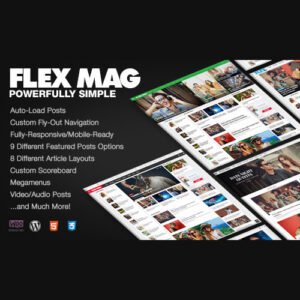 Flex Mag – Responsive WordPress News Theme - DigitalStoreDeals.com