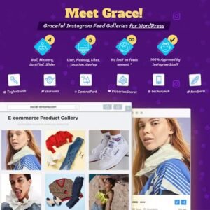 Instagram Feed Gallery — Grace for WordPress - DigitalStoreDeals.com