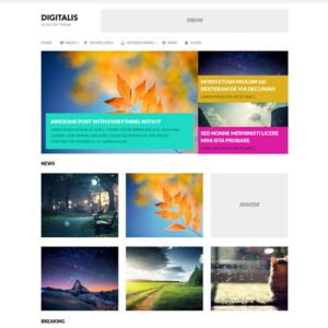 MyThemeShop Digitalis WordPress Theme - DigitalStoreDeals.com