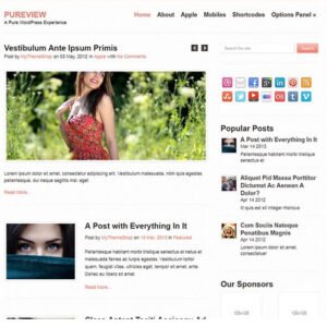 MyThemeShop Pureview WordPress Theme - DigitalStoreDeals.com