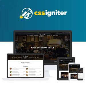 CSS Igniter Carbone WordPress Theme - DigitalStoreDeals.com