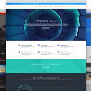 Elegant Themes Divi WordPress Theme & Layouts - DigitalStoreDeals.com