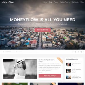 MyThemeShop MoneyFlow WordPress Theme - DigitalStoreDeals.com