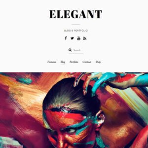 Themify Elegant WordPress Theme - DigitalStoreDeals.com