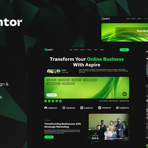 Aspire - SEO & Digital Marketing Elementor Template Kit - DigitalStoreDeals.com