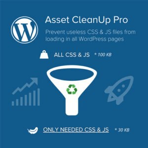 Asset CleanUp Page Speed Booster PRO - DigitalStoreDeals.com