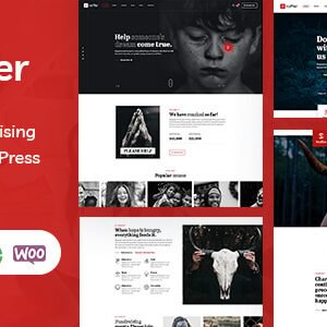 Proffer - Fundraising & Charity WordPress Theme - DigitalStoreDeals.com