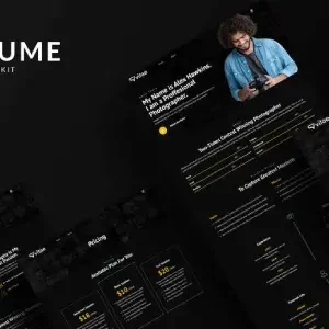 Vitae – CV Resume Elementor Template Kit - DigitalStoreDeals.com