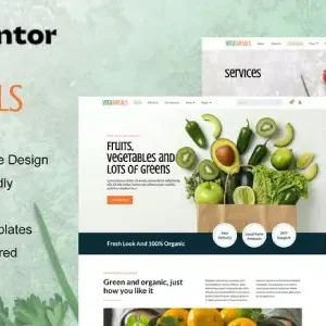 Vitameals – Fruits & Vegetables Store Elementor Template Kit - DigitalStoreDeals.com