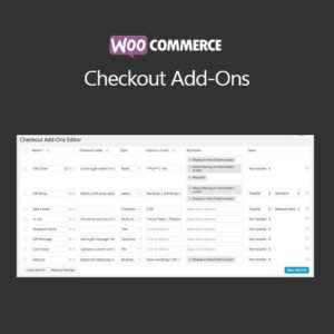 WooCommerce Checkout Add-Ons - DigitalStoreDeals.com