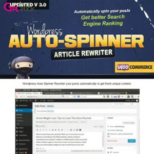 WordPress Auto Spinner – Articles Rewriter - DigitalStoreDeals.com